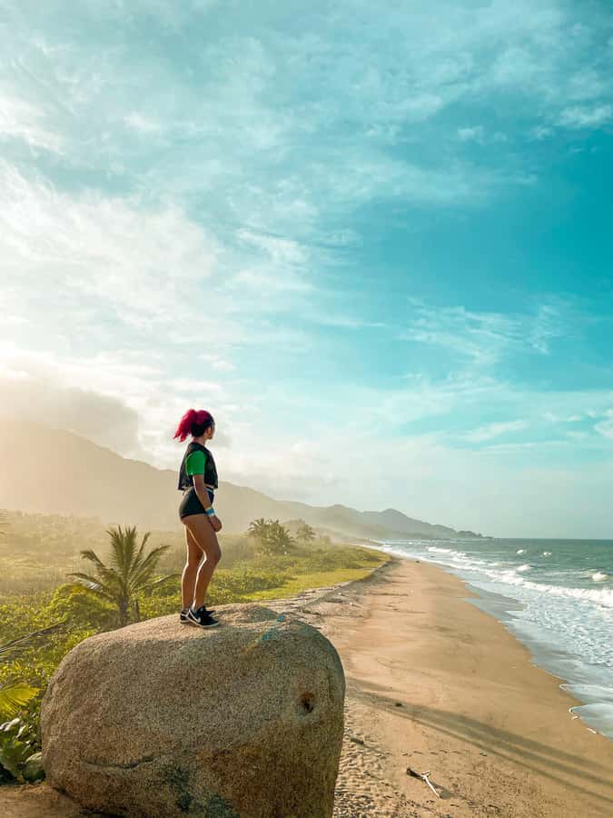 From Santa Marta: Tayrona National Park Guided Tour - The return trail and bus ride back: same path, different mood