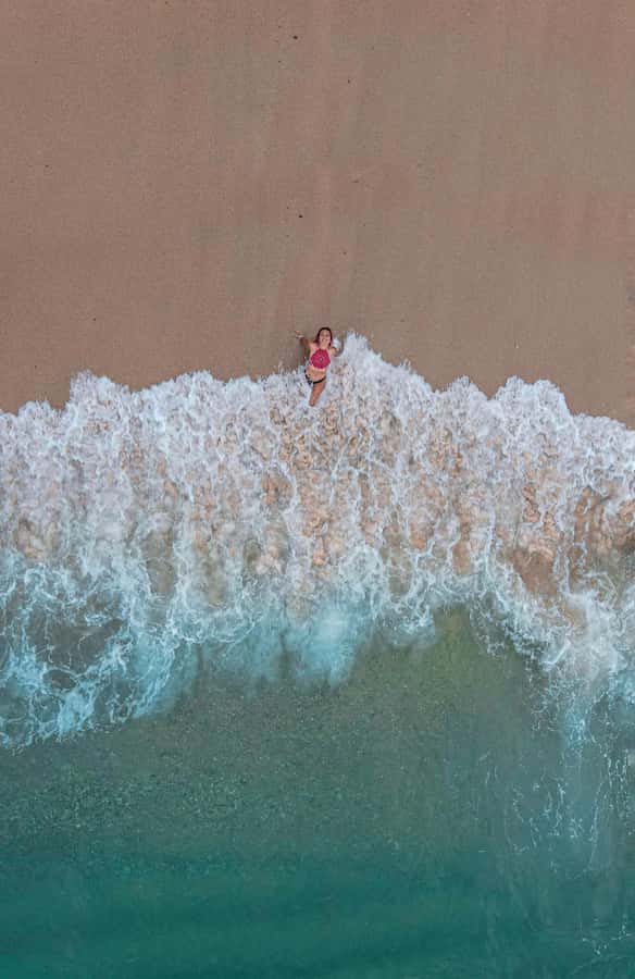From Santa Marta: Tayrona National Park Guided Tour - Getting to the park: early bus, box office entry, and a 20-minute park briefing