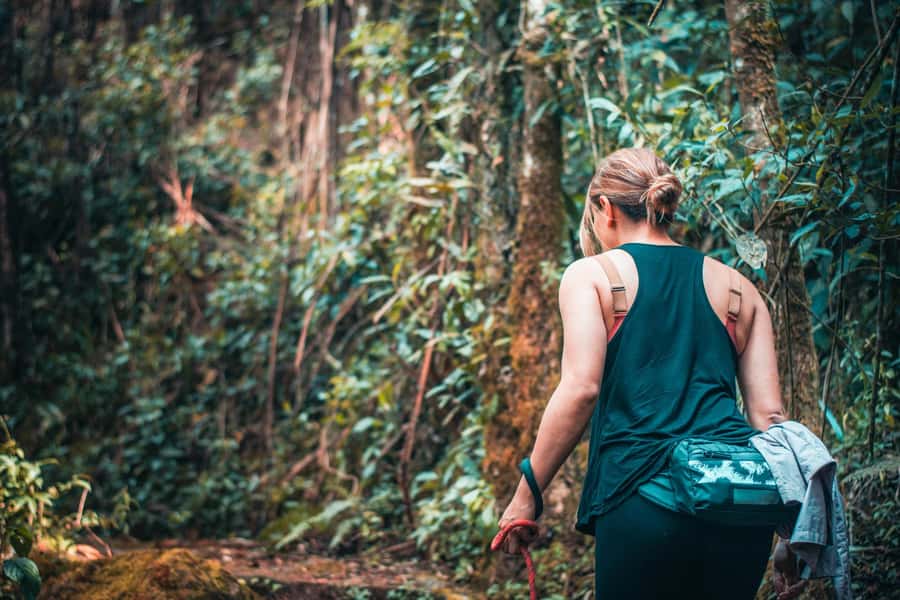 From Villa de Leyva: La Periquera Hiking Tour - La Periquera Park: the best half-day nature reset from Villa de Leyva