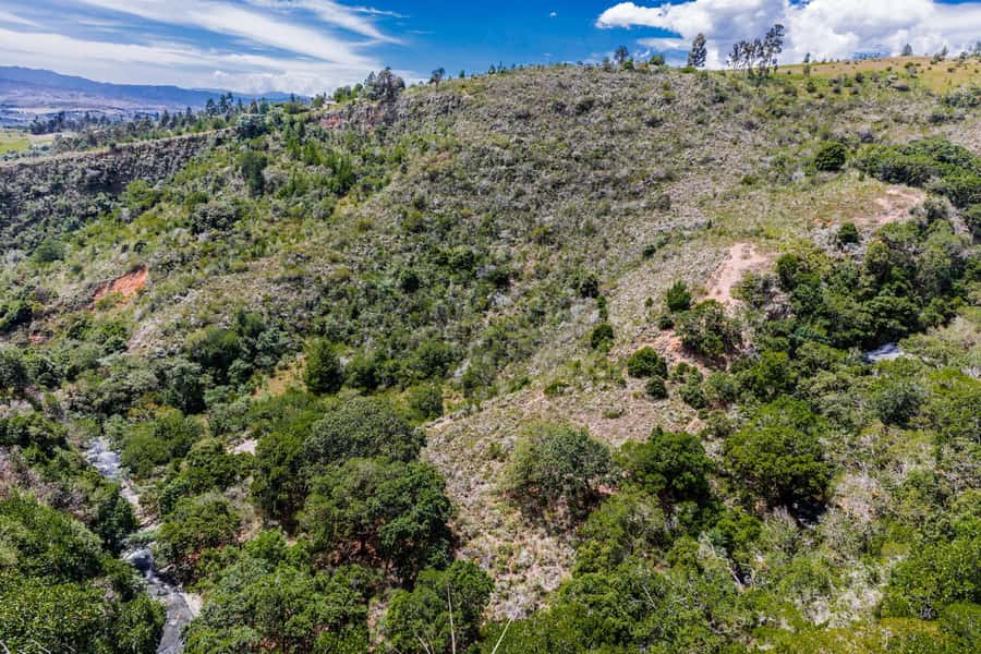 From Villa de Leyva: La Periquera Hiking Tour - The trail start: endemic plants and an easy way to read the area