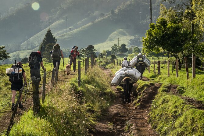 Full Day Climbing The Cocora Valley with Lunch - Reserva Natural Acaime: Hummingbirds, Bird Spotting, and the Hot Drink Break