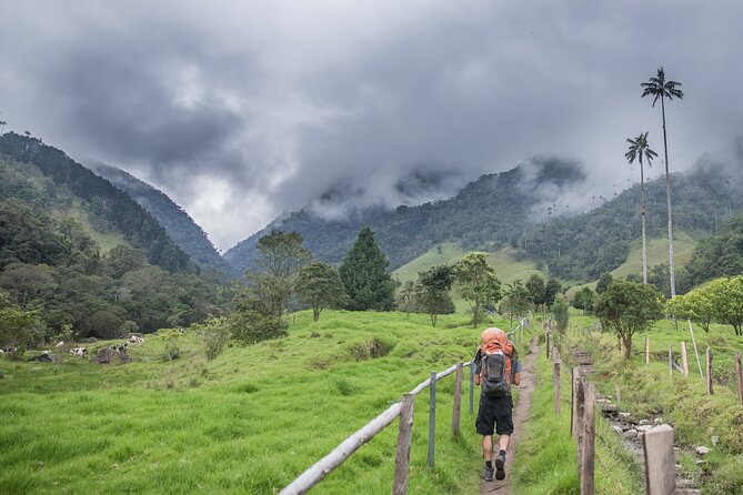 Full Day Climbing The Cocora Valley with Lunch - Valle del Cocora Stop: Classic Views, First Photo Moments, and a Change of Terrain