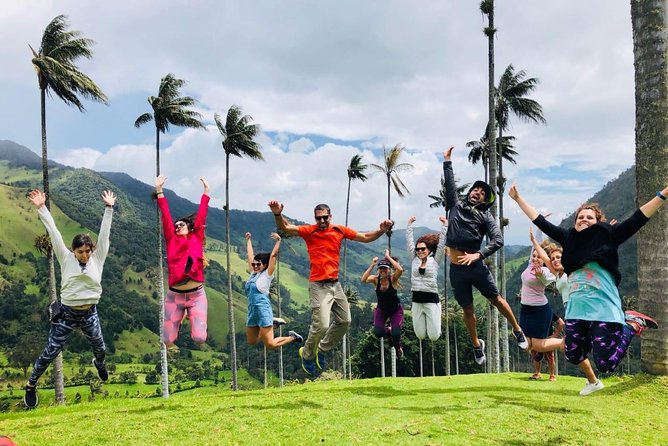 Full-Day Private Coffee Tour in Cocora Valley and Salento - Key highlights worth centering your day on
