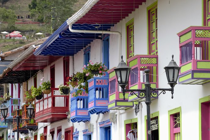 Full-Day Private Coffee Tour in Cocora Valley and Salento - Heritage guide time: connecting coffee, village life, and place