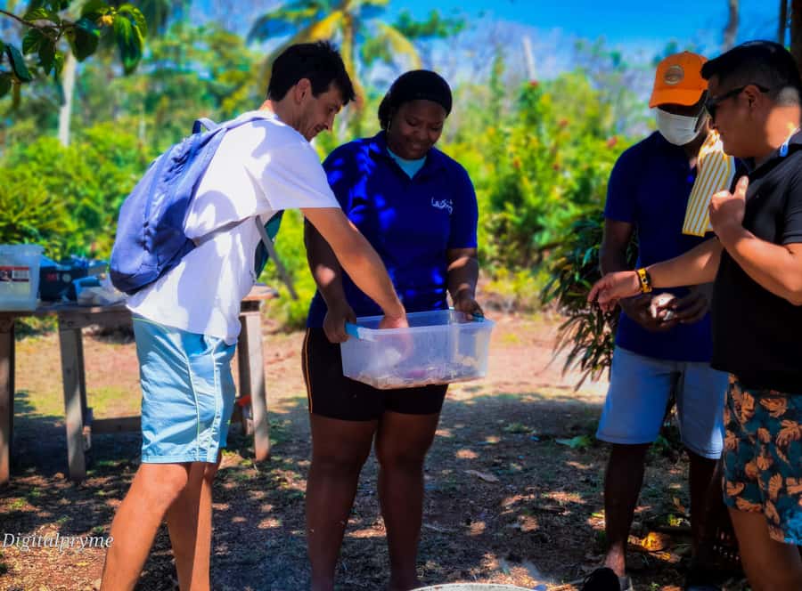 Gastronomic and musical experiences in San Andres Rondontour - What exactly is rondón, and why this method matters