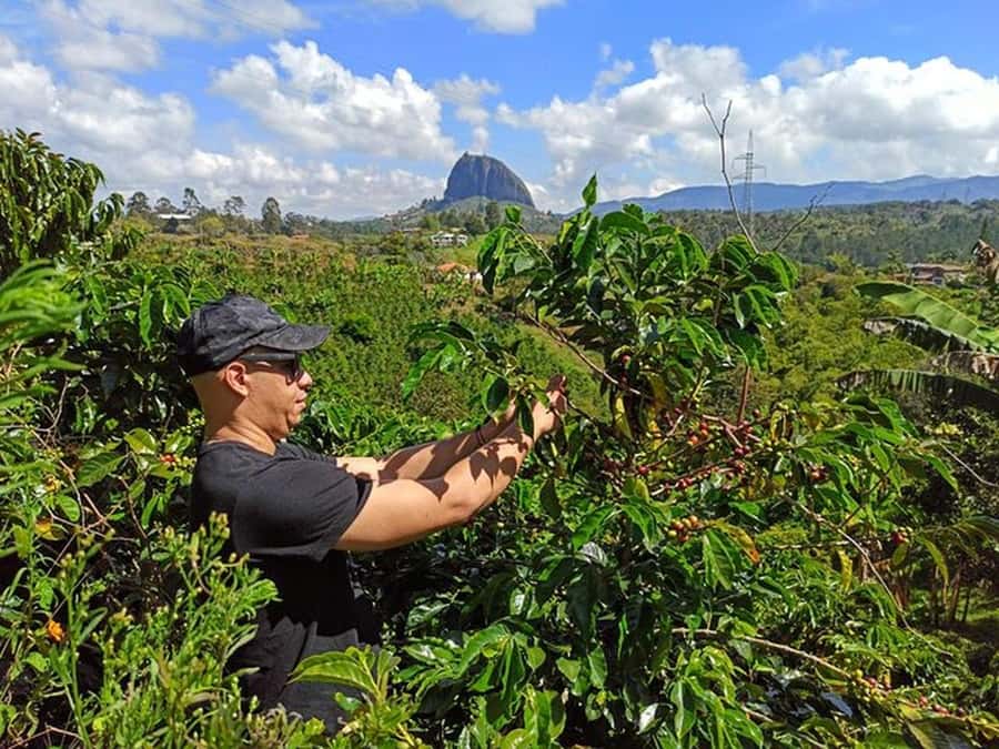 Guatapé & Coffee Farm, all in one day - Key Things to Know Before You Go