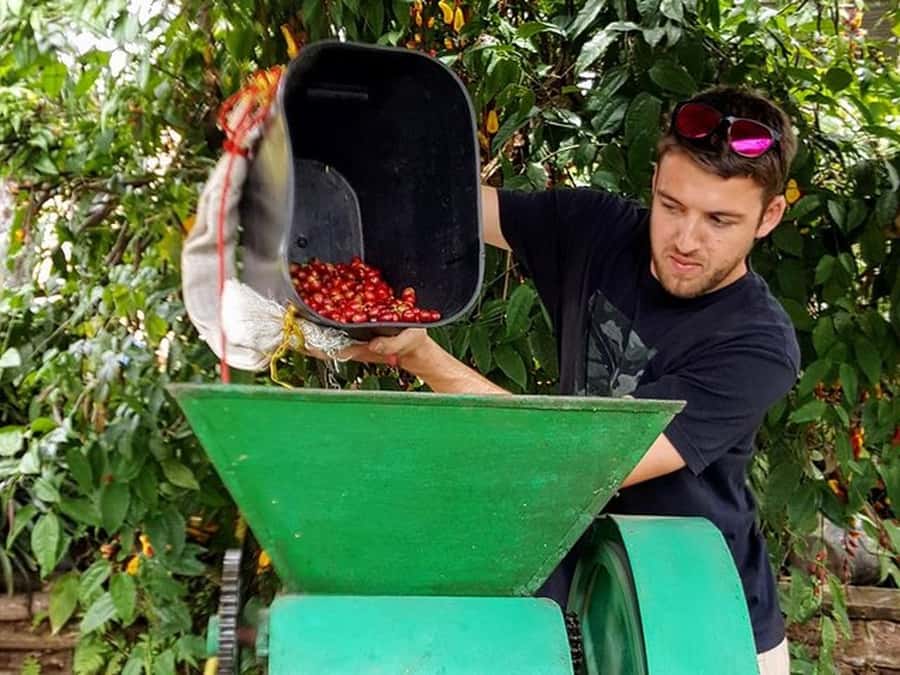 Guatapé & Coffee Farm, all in one day - Who This Tour Fits Best (And Who Should Skip It)