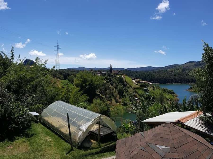 Guatapé & Coffee Farm, all in one day - The Working Coffee Farm: See the Whole Process, Not Just the Brew