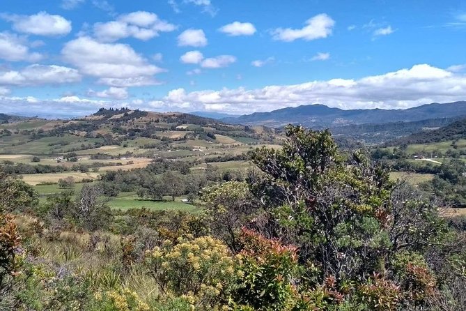 Guatavita Lake & Salt Cathedral Tour. - Guide quality and ride comfort: the two variables you can plan for