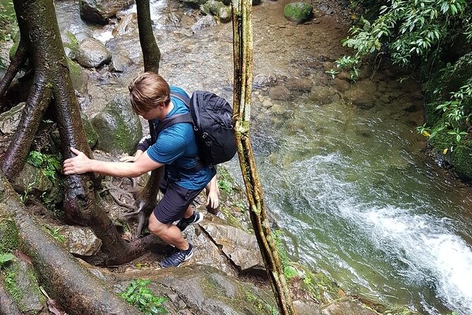 Half Day Waterfall Tour from Medellin - From El Poblado to Waterfall Country: The 5-Hour Flow