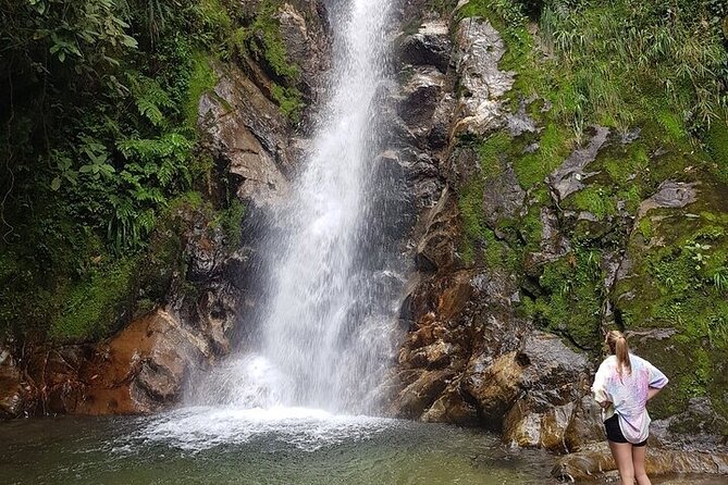 Half Day Waterfall Tour from Medellin - Why the Guides Matter Here (Alejandro and Sebastian Set the Tone)