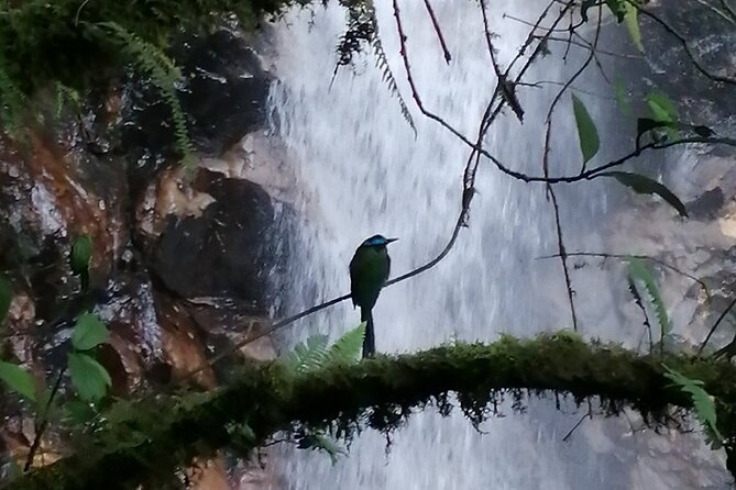 Half Day Waterfall Tour from Medellin - What to Wear and Bring for a Muddy Waterfall Day
