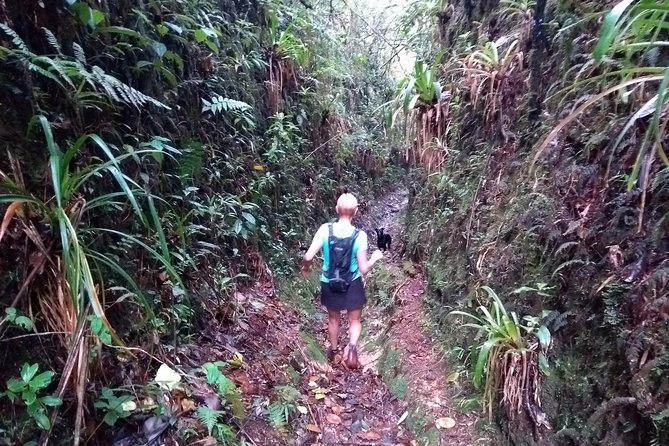Hiking Mountains and Magical Forests - Key highlights before you lace up