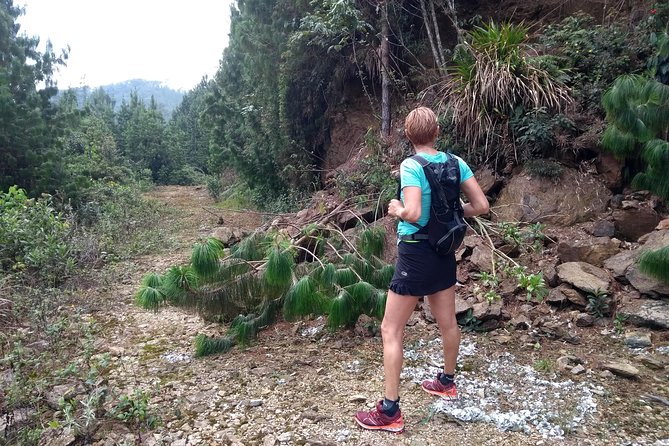 Hiking Mountains and Magical Forests - Why this Envigado hike feels special so close to the city