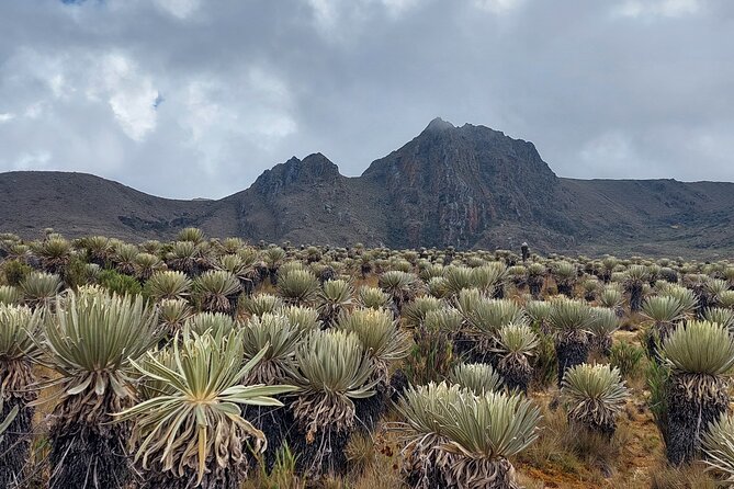 Hiking to the largest paramo on earth : Sumapaz - Getting There From Bogotá: A Real Morning, Not a Half-Promise