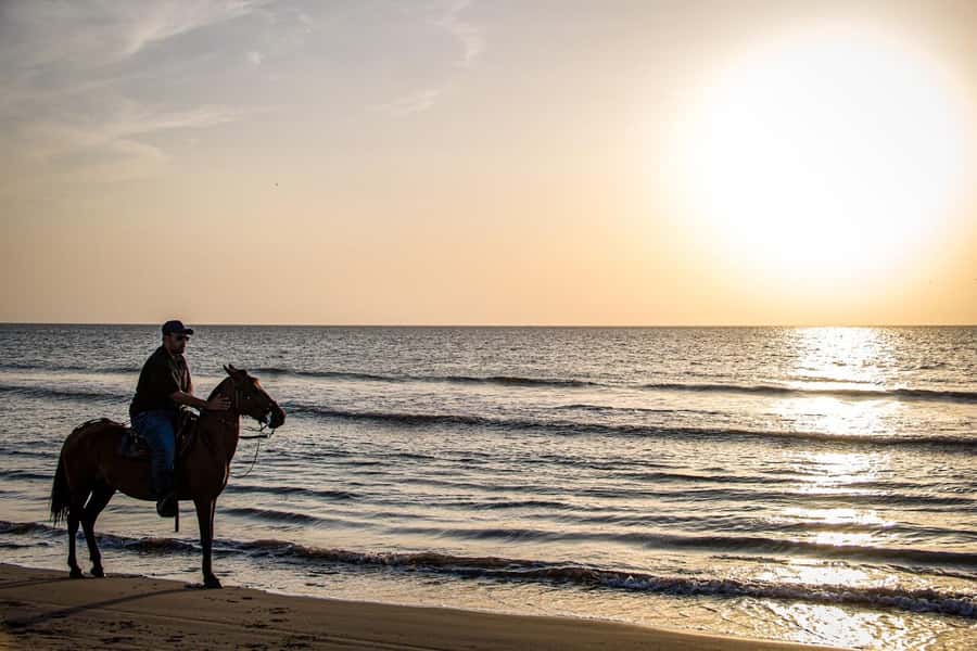 HORSE TOUR IN CARTAGENA BEACH - Getting to Manzanillo del Mar: the private ride that sets the tone