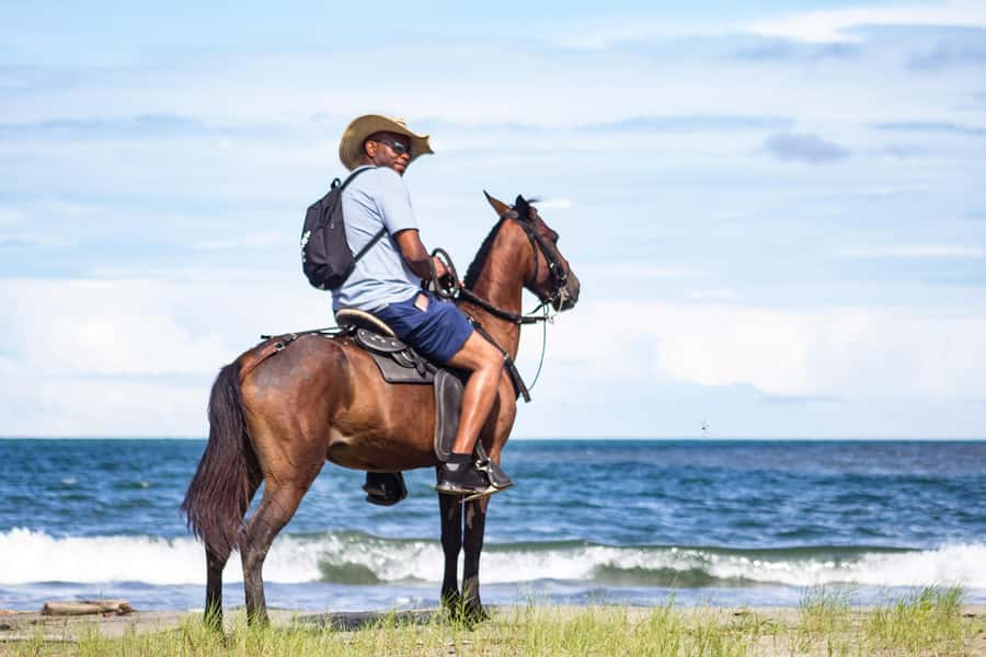 HORSE TOUR IN CARTAGENA BEACH - One hour on horseback: the beach ride and what to try
