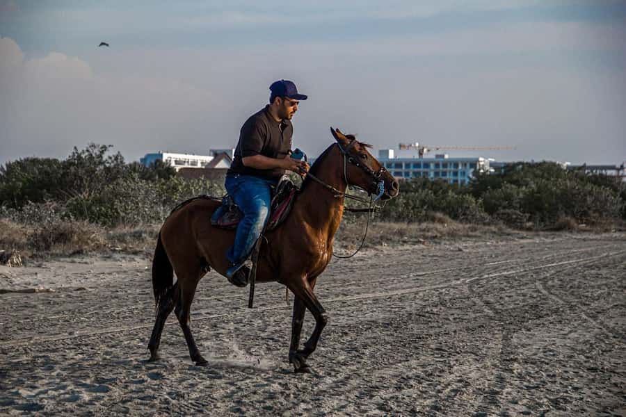 HORSE TOUR IN CARTAGENA BEACH - Photo time and the national drink finish strong