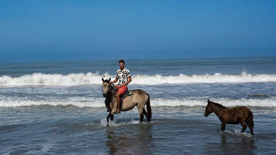 HORSE TOUR IN CARTAGENA BEACH - Is this the right match for you?