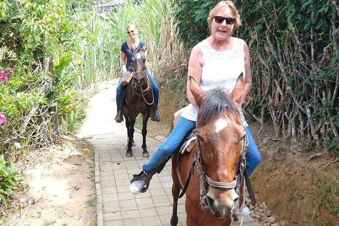 Horseback Riding Adventure from Medellin - Breaks, Refreshments, and Photo Stops Without Losing the Vibe
