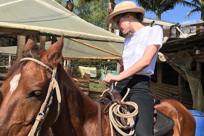 Horseback Riding Adventure from Medellin - Price and Value Check: Is $137.75 Worth It?
