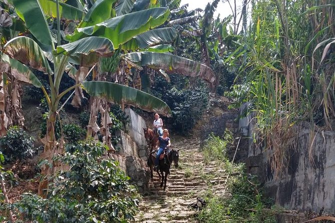 Horseback Riding Adventure from Medellin - Guide and Pace: Where the Experience Can Make or Break