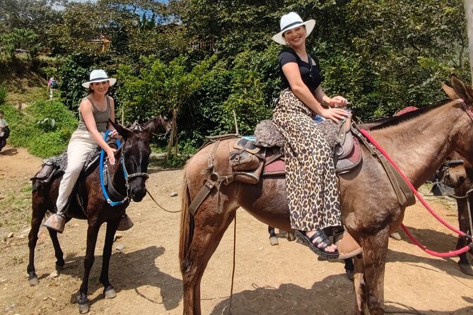 Horseback Riding Adventure from Medellin - On the Ride Through the Foothills: Rivers, Forest Trails, and Wildlife