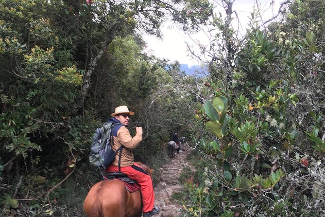 Horseback Riding from Guadalupe to Monserrate Private Day-Tour - Santuario Virgen de Guadalupe: a short stop with big context