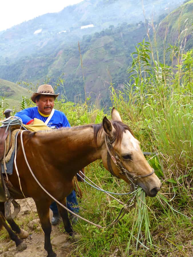 Horseback Riding Tour and visit to Tablón, Chaquira, Pelota - Key things to know before you go