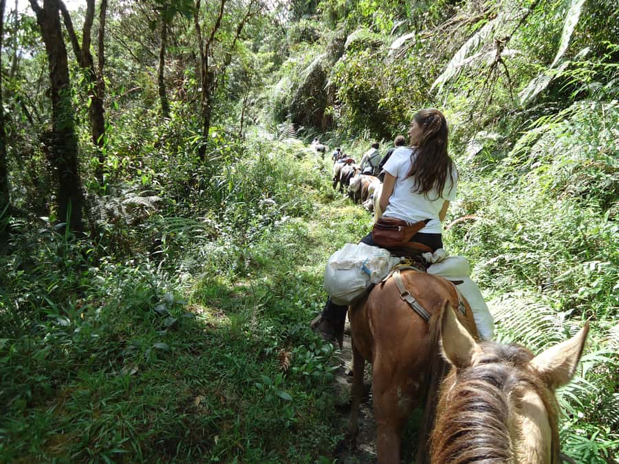Horseback Riding Tour and visit to Tablón, Chaquira, Pelota - How the horseback start works in San Agustín