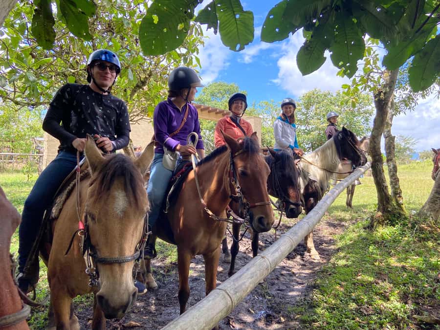 Horseback Riding Tour and visit to Tablón, Chaquira, Pelota - Horses for every level, and why the tour still feels personal