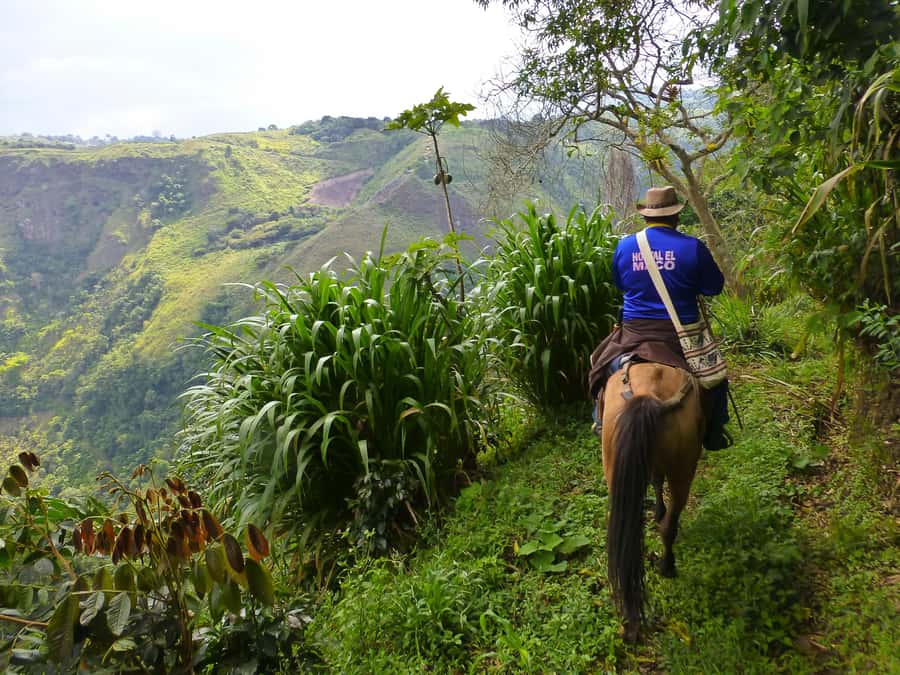 Horseback Riding Tour and visit to Tablón, Chaquira, Pelota - Meet Pacho, and choose the right language for the best experience