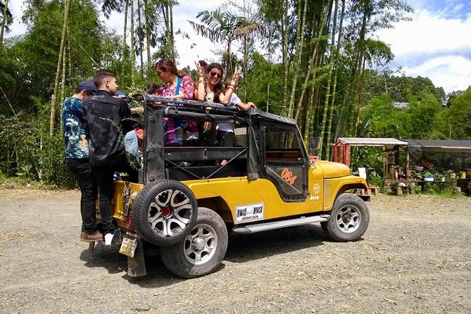 Howler Monkey Tour On The Barba Reserve - Bremen Of Philandia - Practical tips to get more from the day