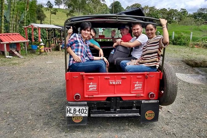 Howler Monkey Tour On The Barba Reserve - Bremen Of Philandia - Coffee, Fog, and a 4 km Forest Hike (Howler Monkey Odds)