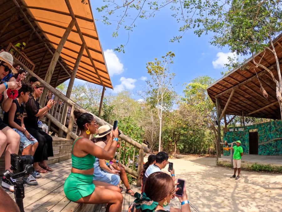 Isla Barú: Beach Club Access and Tour of the National Aviary - National Aviary of Colombia: 22 exhibits and birds that fly close