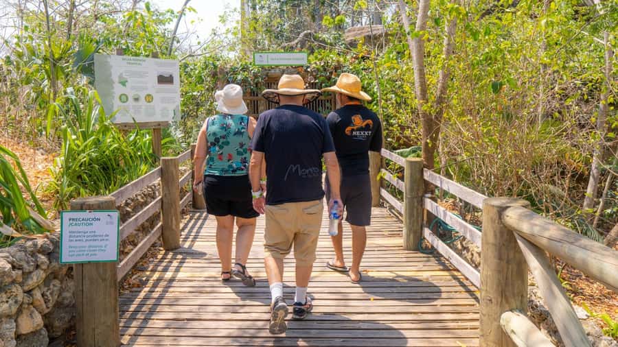 Isla Barú: Beach Club Access and Tour of the National Aviary - Price and value at $70: what you get, and where it can feel uneven