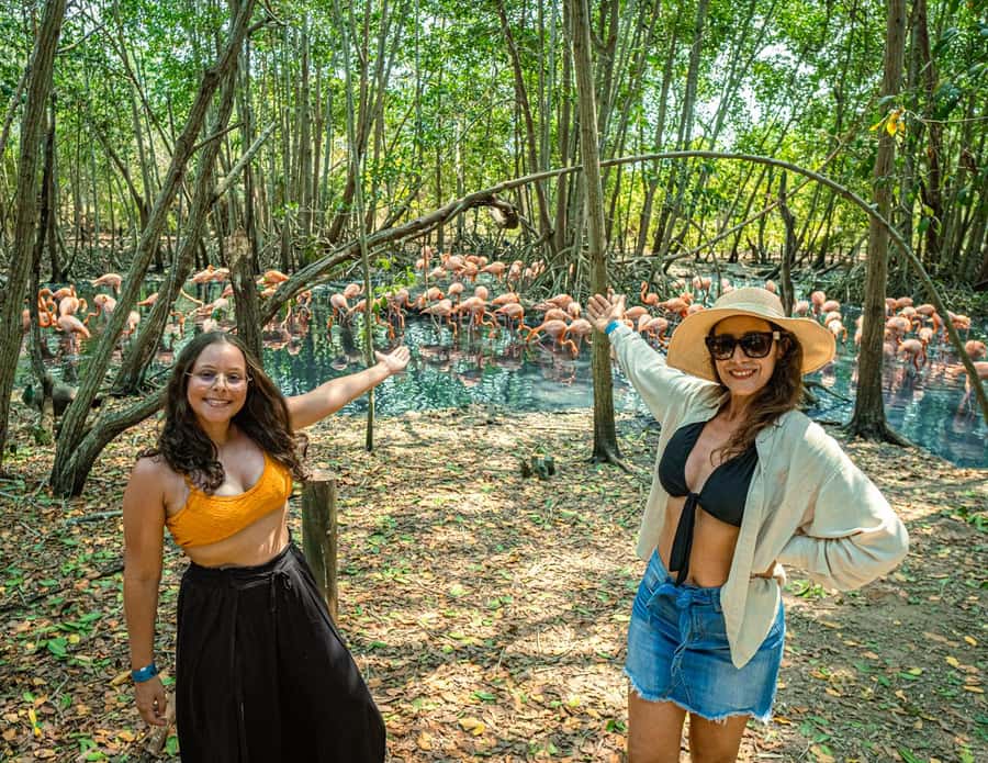 Isla Barú: Beach Club Access and Tour of the National Aviary - Crossing to Barú: canals, Baru Bridge, and the peninsula towns