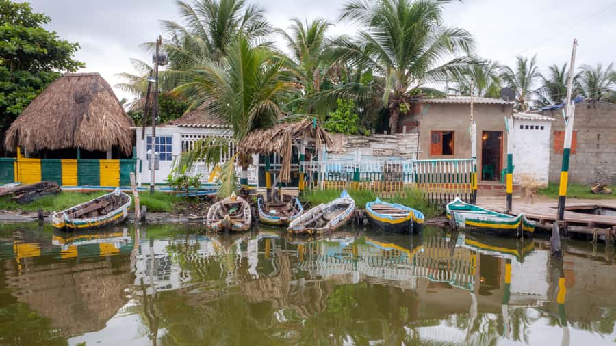 La Boquilla: 3-Hour Canoe Tour through the Mangroves - From hotel pickup to the canoe: the logistics that affect comfort