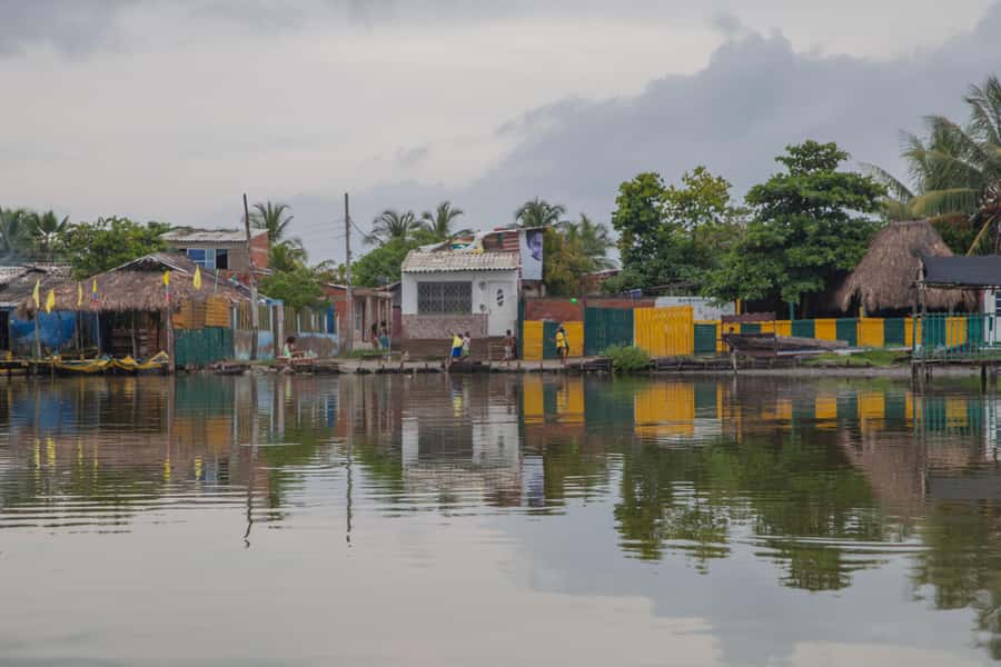 La Boquilla: 3-Hour Canoe Tour through the Mangroves - Wildlife spotting in mangroves: herons, egrets, and more