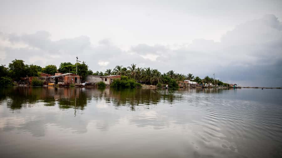 La Boquilla: 3-Hour Canoe Tour through the Mangroves - Afro-Colombian community and conservation: why this feels human