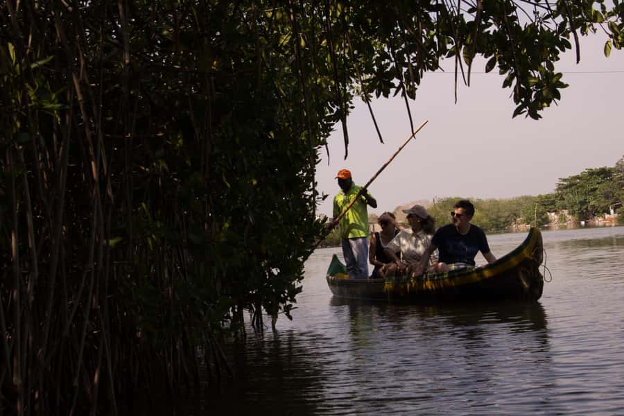 La Boquilla: 3-Hour Canoe Tour through the Mangroves - Getting there and timing: how the 3 hours usually plays out
