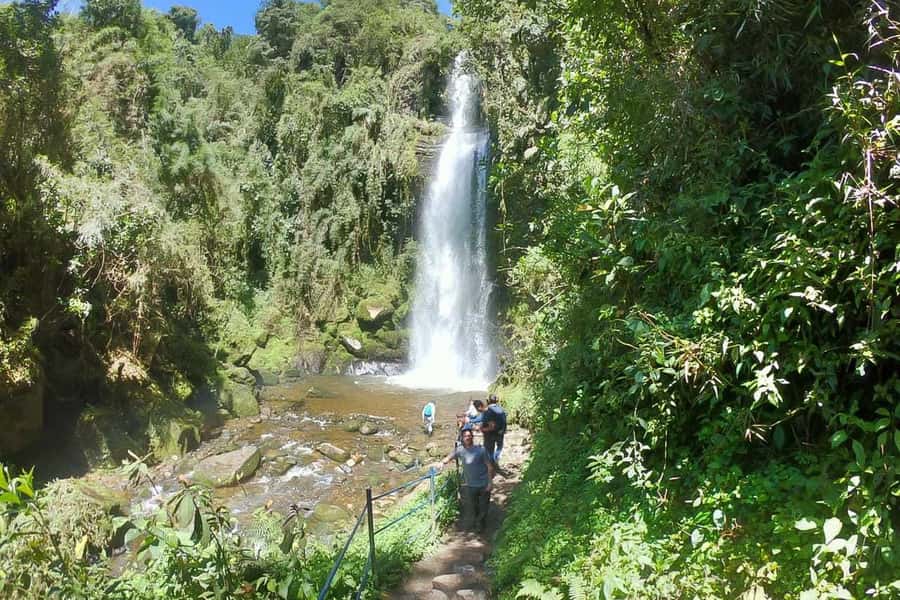 La Chorrera and Chiflon Waterfalls Private Hike Tour - La Chorrera Natural Park: cloud forest ecology plus human context