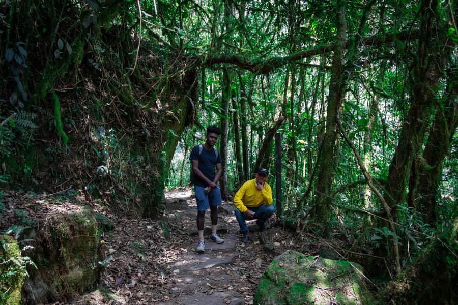 La Chorrera and Chiflon Waterfalls Private Hike Tour - La Chorrera and El Chiflón: the waterfall pairing