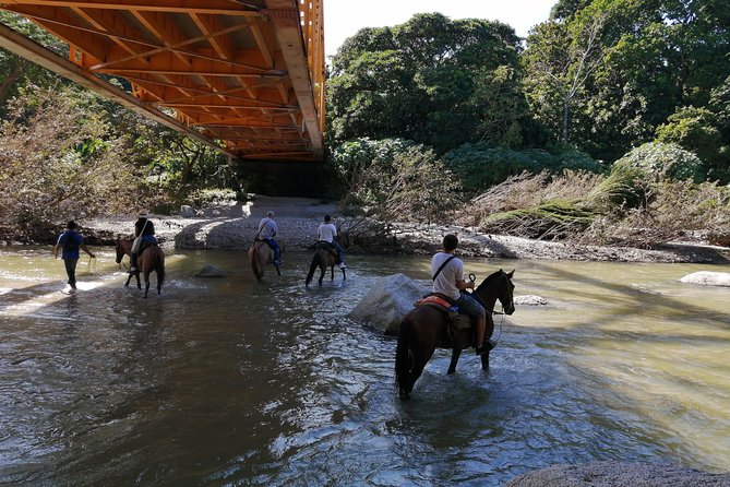 Los Naranjos Beach Horseback Riding Tayrona Park. - Los Naranjos Beach Horseback Riding: what makes it different