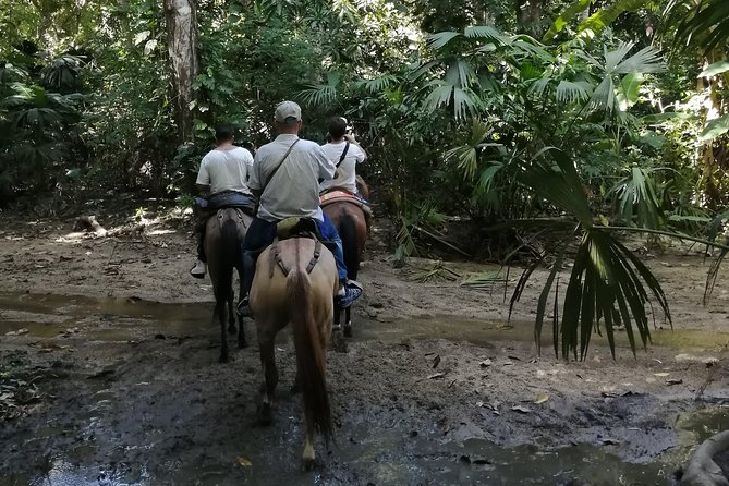 Los Naranjos Beach Horseback Riding Tayrona Park. - The 1-hour ride along Tayrona forest and the river Piedras