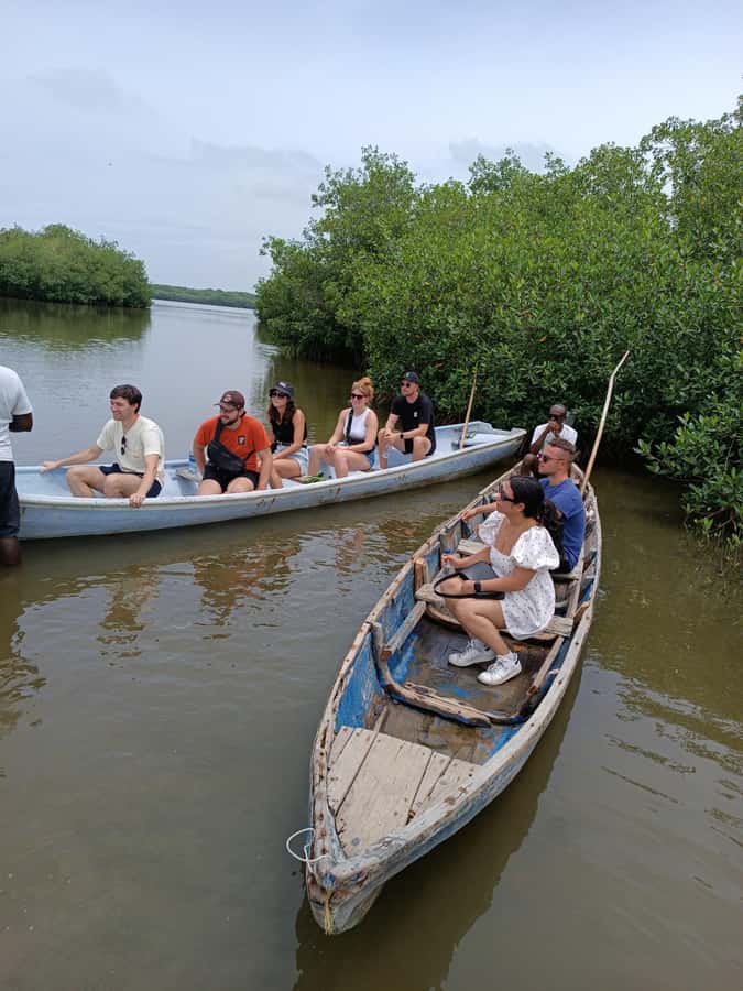 Mangroves, cultural fishing, black heritage town and lunch - Who This Tour Suits Best