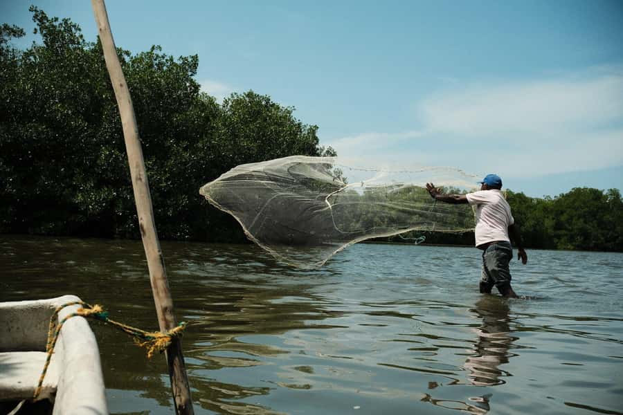 Mangroves, cultural fishing, black heritage town and lunch - La Boquilla Culture: A Black Heritage Town You Can Walk Through