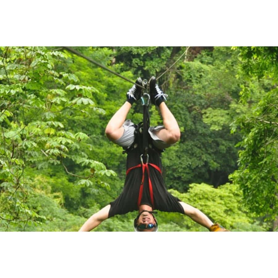 Medellin: 4-Hour Zip-Line Adventure - Why This Medellin Zip Line Feels Like More Than a Fly-By