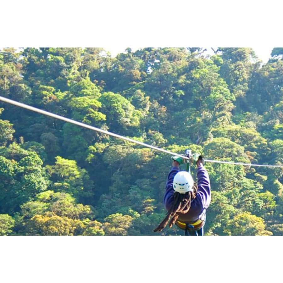 Medellin: 4-Hour Zip-Line Adventure - Free Time for Photos and a Real-Life Respite