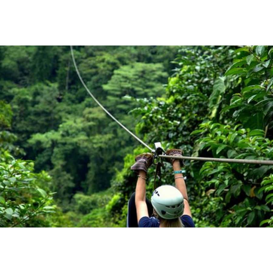 Medellin: 4-Hour Zip-Line Adventure - Door-to-Door Pickup With a Bilingual Driver